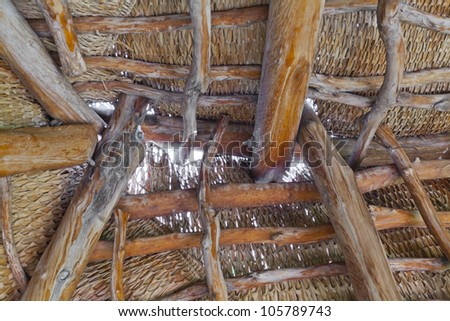 Ancient Hawaiian hale shelter roof made of fan palm thatch