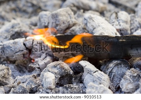 Hot Flames and White Ashes of Black Burned Wooden Logs