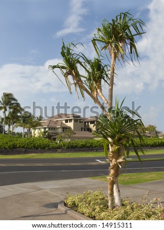 Tropical Recreational Community Housing on Kona Island, Hawaii