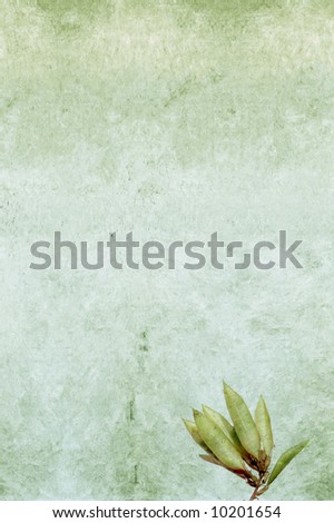 lovely background image with interesting texture, floral elements and plenty of space for text