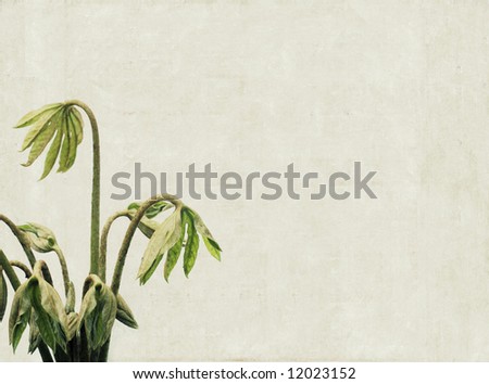 lovely background image with interesting texture, close-up of young leaves and plenty of space for text