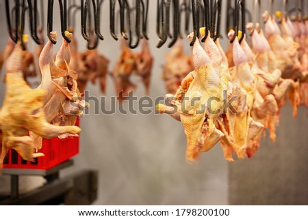 abattoir, slaughter house conveyor belt line for chickens  Сток-фото © 