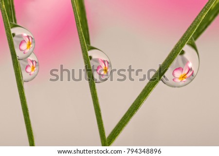 Refracting Photography