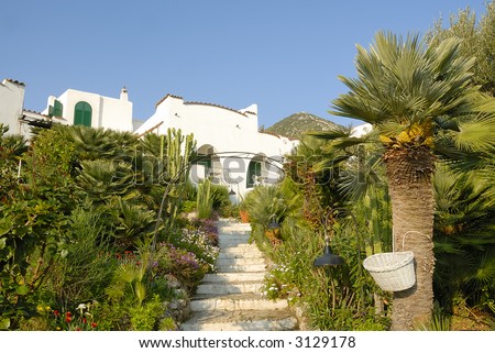 Italian seaside house immersed in typical mediterranean garden
