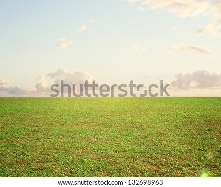 Beautiful futuristic landscape with grass and clouds