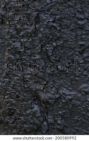 wooden texture, coated with black resin