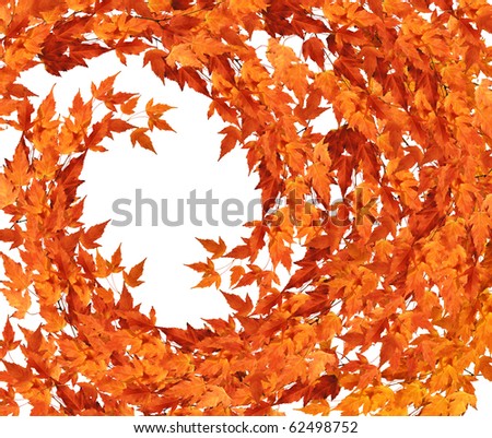 Runaround swirling autumn leaves
