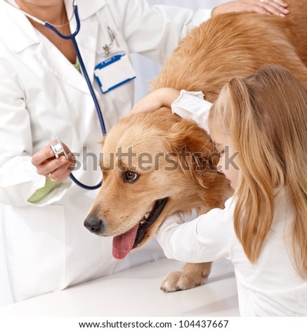 Golden retriever at pets\' clinic examined by vet, hugged by little girl.