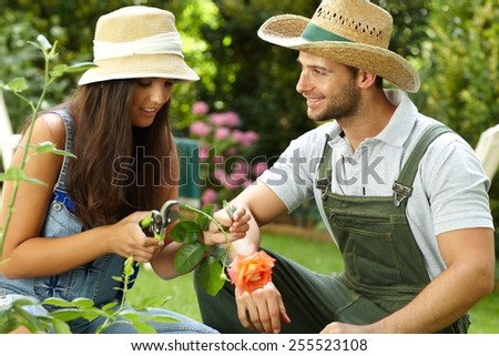 Young couple gardening, woman clipping rose by pruning scissors.