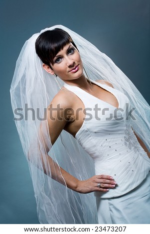 Bride posing and smiling wearing classic white wedding dress and veil.
