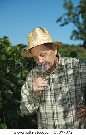 Senior vintner testing wine outdoors in vinery.
