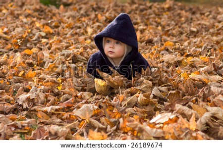Cute baby girl with lower body covered by autumnal leaves.