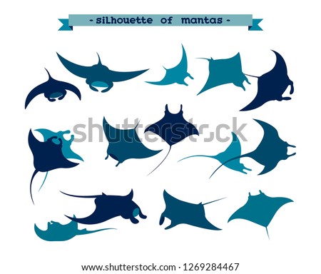 Vector illustration with silhouette of manta ray on a white background. Set of underwater animal - mantas.