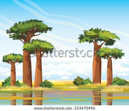 African landscape with green baobabs on a blue sky background. Nature landscape.