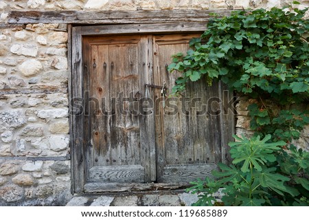 Old wooden door and green vine in Melnik town, Bulgaria