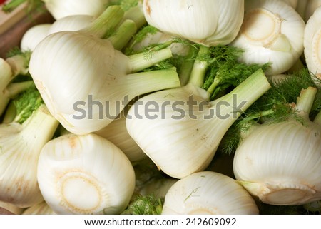 Bulbs of fresh fennel vegetable on market stall for sale