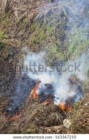 Crop burning rice fields in southern China