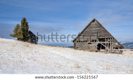 Trees and forgotten home with a barn in the winter with snow