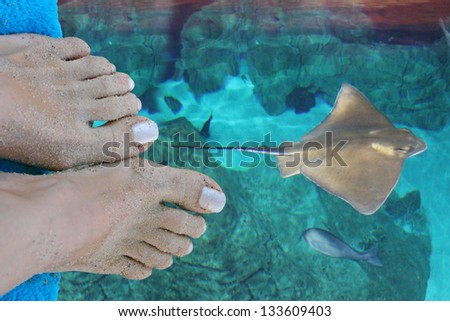 Feet with sand summer beach holiday on the water, and fish in the blue sea