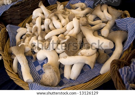 Oyster mushrooms in a basket for sale at a farmer\'s market