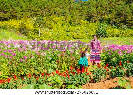 MAEHONGSON, THAILAND - NOV 11:: Unidentified A woman and childs (H\'mong ethnic minority people ) walking in flower garden on November 11,  2008 at Maehongson, North of Thailand