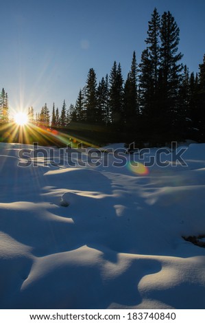 Sun setting over snow covered forest, Banff National Park Alberta Canada