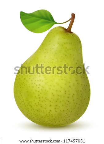 Big green pear on white background. Created using gradient meshes.