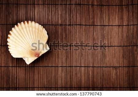 Big scallop against wooden background in summer still life theme.