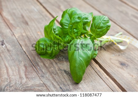 Basil plants in bunch on wooden table in summer