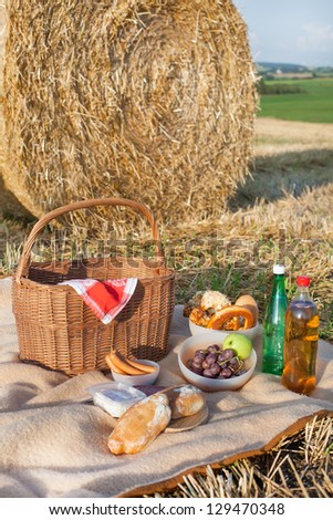Picnic basket and different food and drinks on hay field
