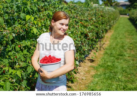 Young woman picking raspberries on pick a berry farm in Germany.