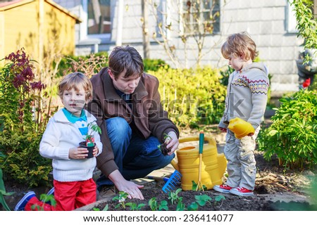 Happy family of three: Two little boys and father planting seeds and seedlings in vegetable garden, outdoors