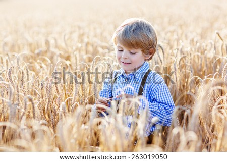 Funny little kid boy in traditional German bavarian clothes, leather shorts and check shirt, , walking happily through wheat field near  hay stack or bale.