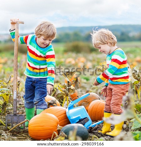 Two little sbilings sitting on big pumpkins on autumn day, choosing squash for halloween or thanksgiving on pumpkin patch. Kid boys having fun with farming.