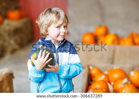Little blond kid boy holding green pumpkin on halloween or thanksgiving harvest festival or patch, outdoors