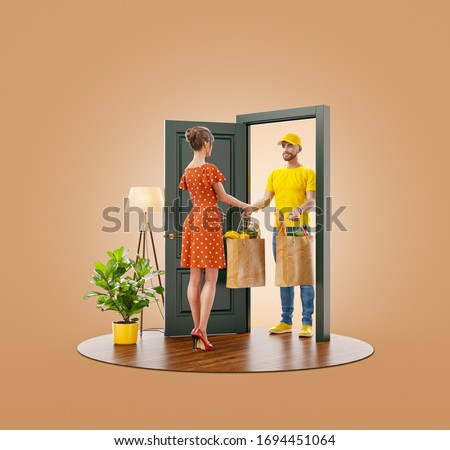 Unusual 3d illustration of a Young woman receiving bags with fresh food from courier at the door. Food delivery service. Online grocery shopping and delivery.