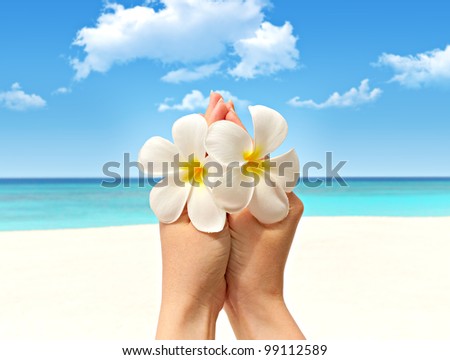 white flowers frangipani (plumeria) in women\'s hands against the sea beach and blue sky