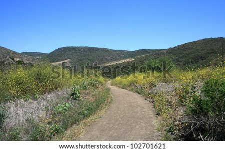 Mountains, sky and flowers on a trail in Crystal Cove State Park, Orange County, CA
