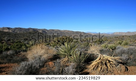 View of desert and mountains from the Lost Horse Trail, Joshua Tree National Park