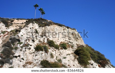 Bluffs above Salt Creek Beach, Orange County, CA