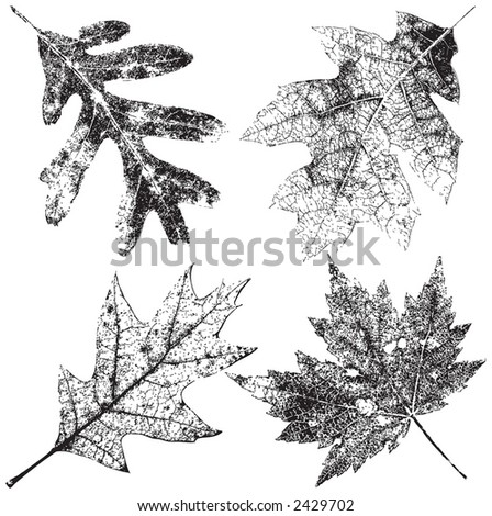 Similar – Image, Stock Photo Rotting leaves Decompose