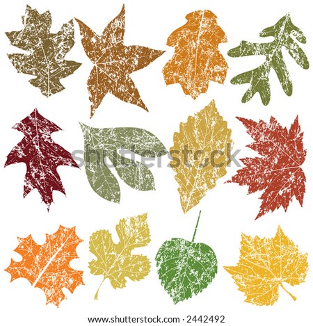 Similar – Image, Stock Photo Rotting leaves Decompose