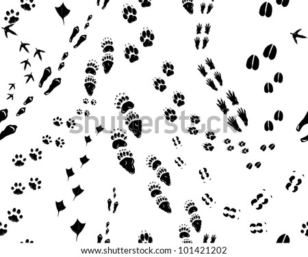 Seamless illustration of footsteps of following animals: bird, cat, chicken, deer, dog, duck, elk, bear, squirrel, rabbit, hare.