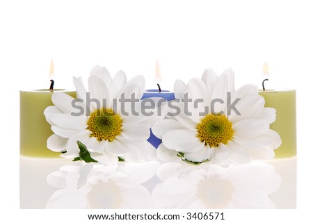 Daisies and a candles isolated