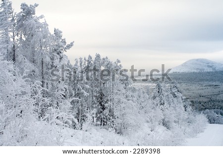 Polar Winter landscape, trees under snow after snow-storm, mountains, pastel