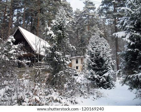 Forest with chalet in winter