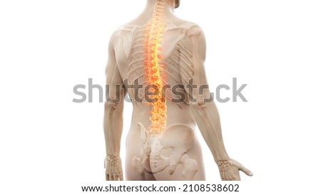 3d rendered illustration of a painful back Foto stock © 