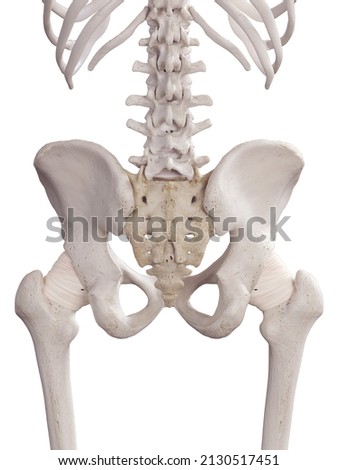 3d rendered medically accurate illustration of the zona orbic ligament Foto stock © 
