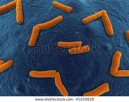 Arthrobacter Stock Photo 41650828 : Shutterstock