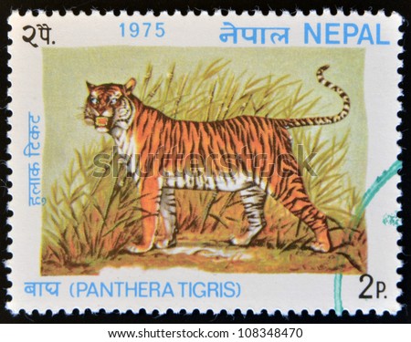 NEPAL - CIRCA 1975: A stamp printed in Nepal shows image a Tiger, Panthera Tigris, circa 1975.